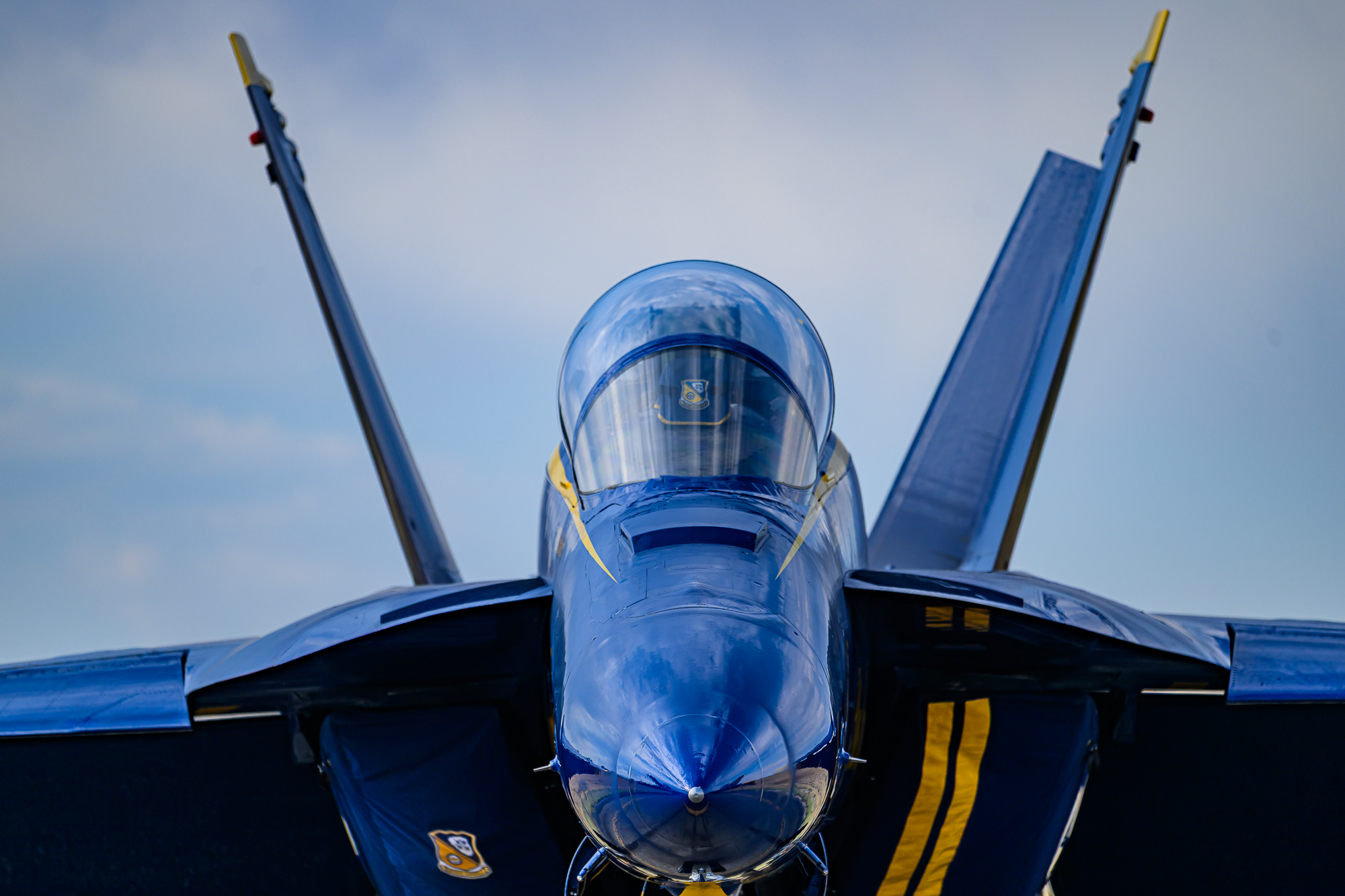 Pro+Image+Event+Photography+